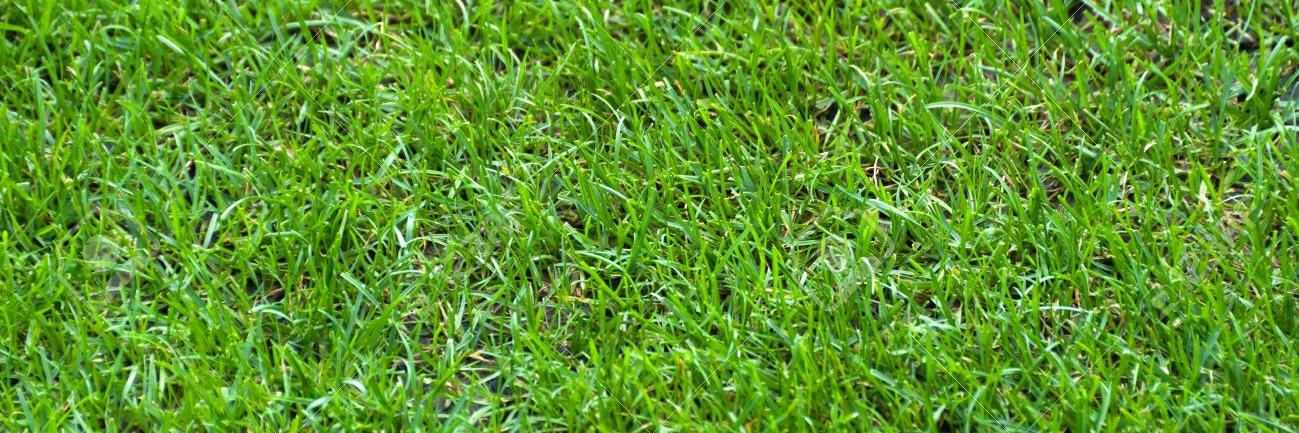 Cardiff Combination banner