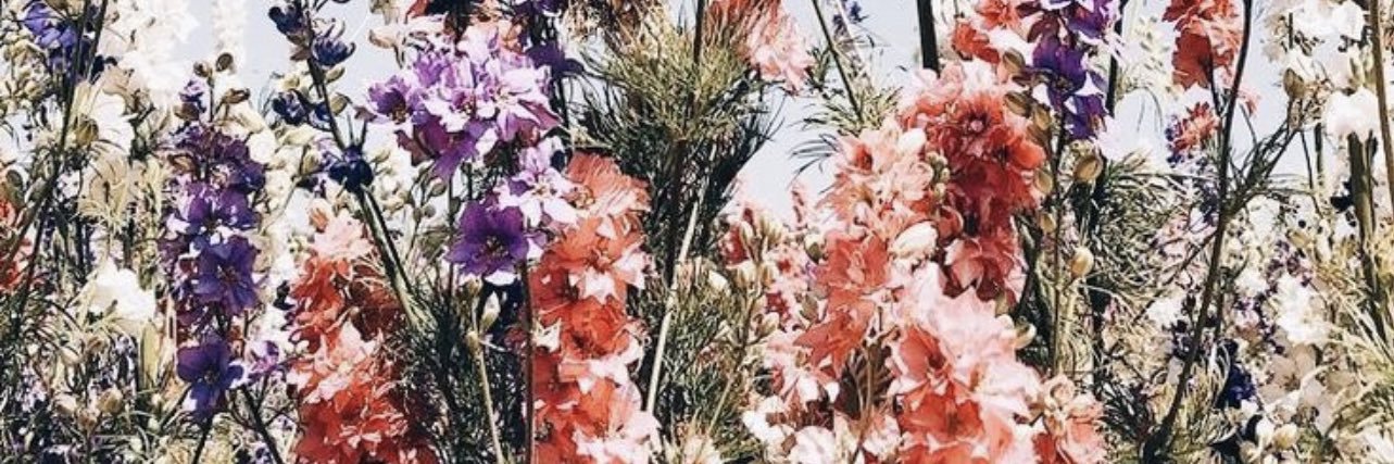 nicholebloise's profile banner image
