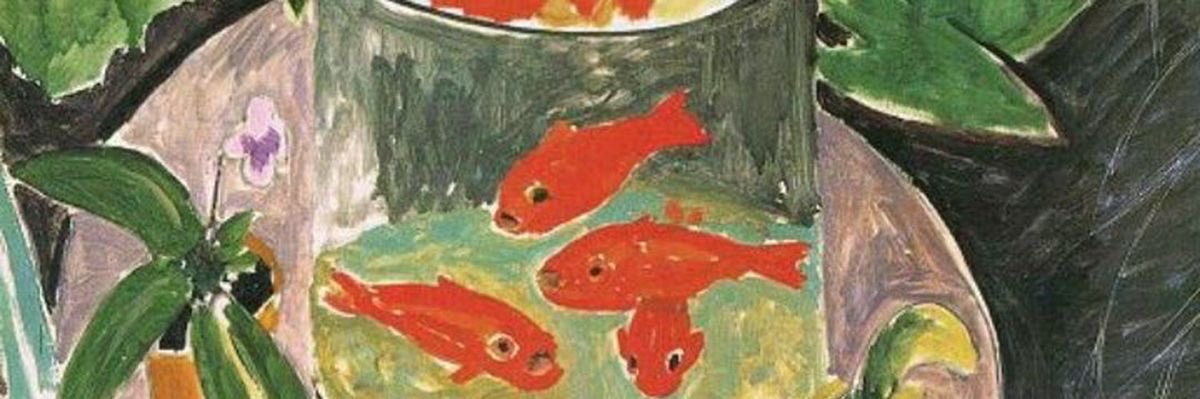 🍄 banner