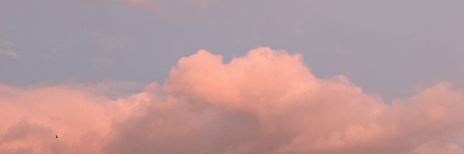 hugoslmt's profile banner image
