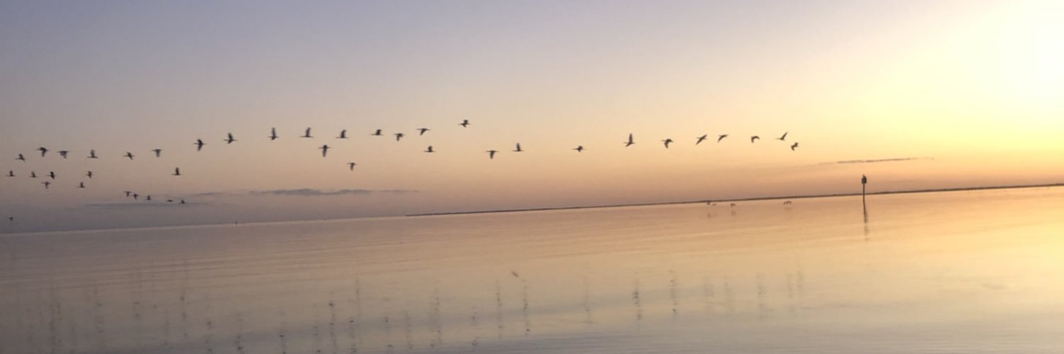 LuchoRod43's profile banner image