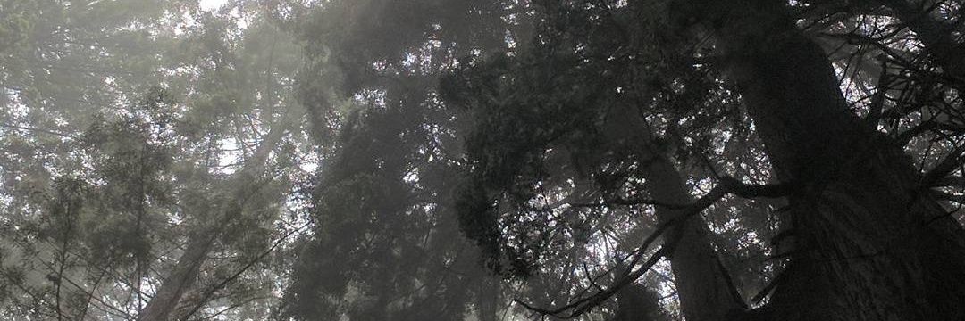 SprinkleMelissa's profile banner image