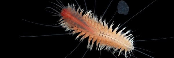 bcg5574 Profile Banner