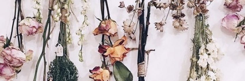 emmbroooke's profile banner image