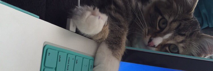 jayyelle94's profile banner image