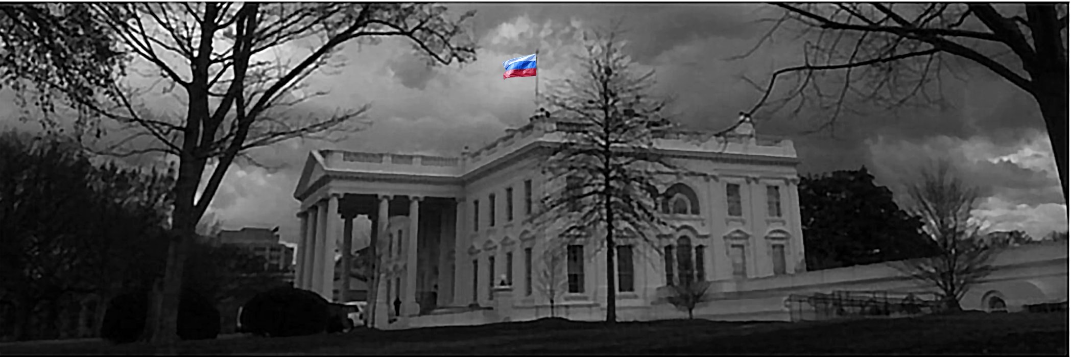 KellyGreenGirrl's profile banner image