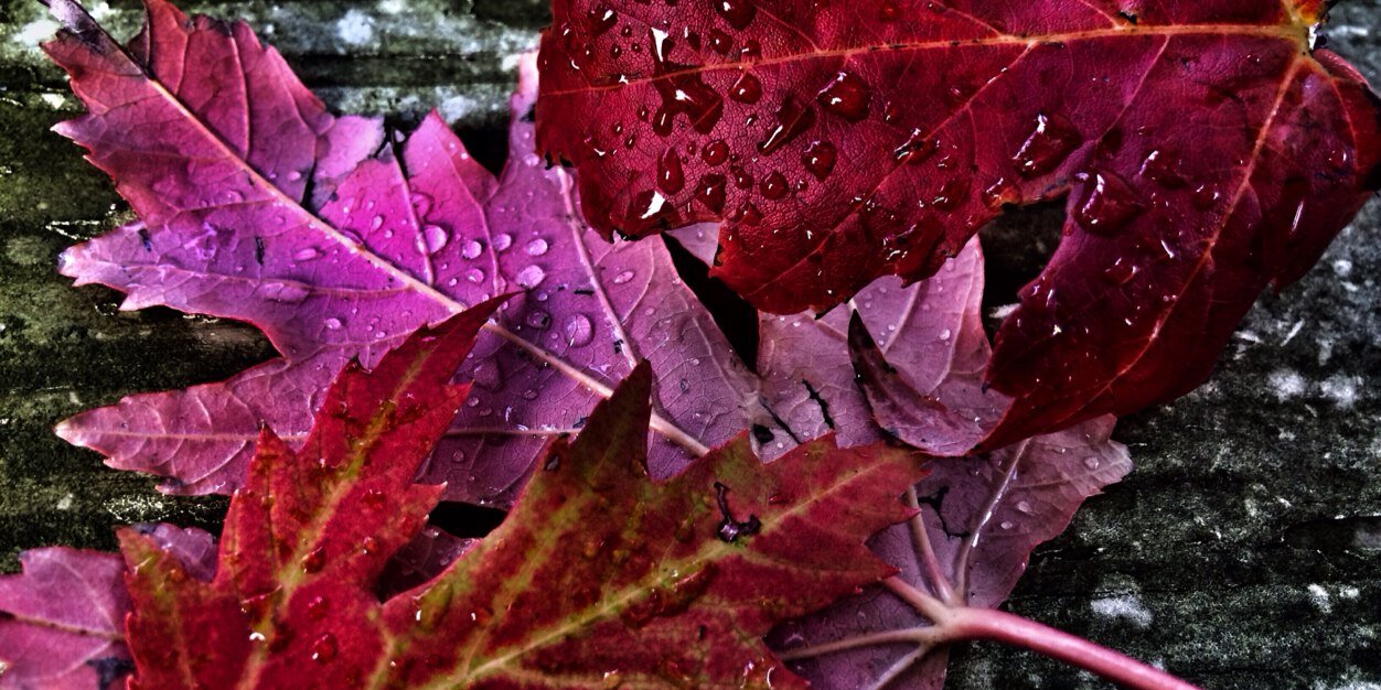 jeffgoodman1's profile banner image