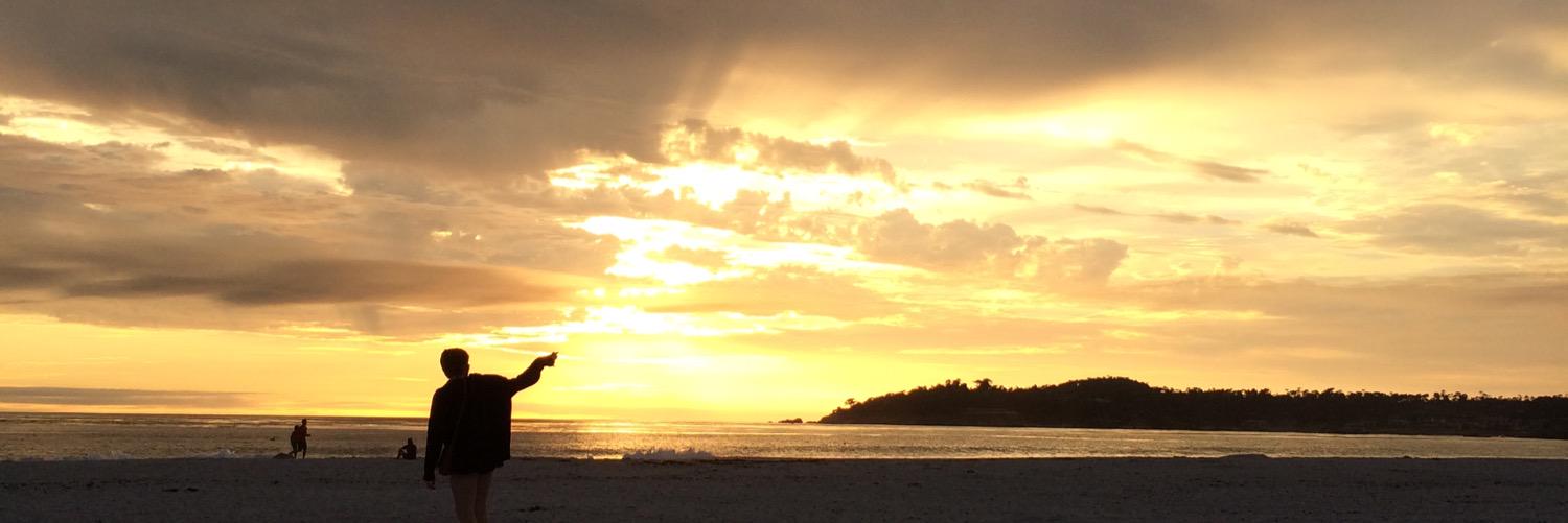 RexBodhi's profile banner image