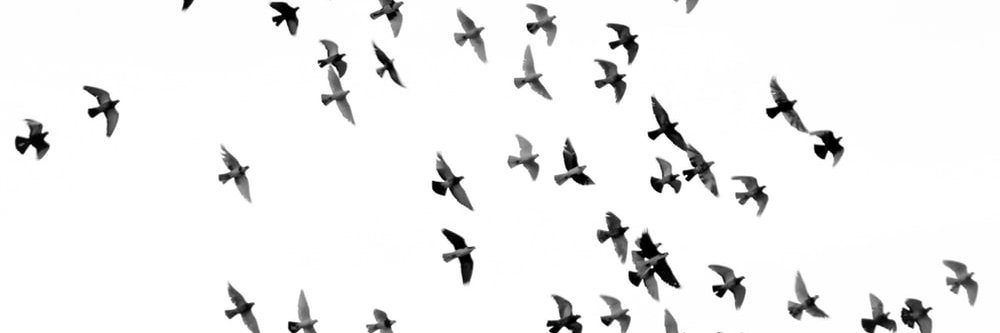 sasan_so's profile banner image