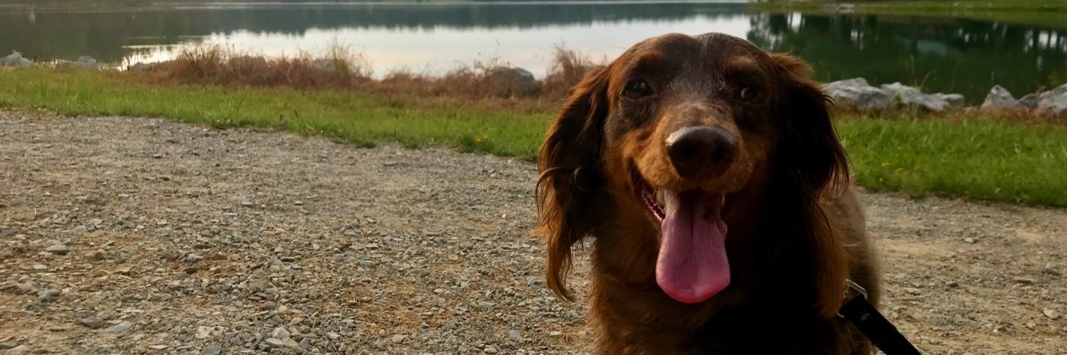 LynlieSimpson's profile banner image