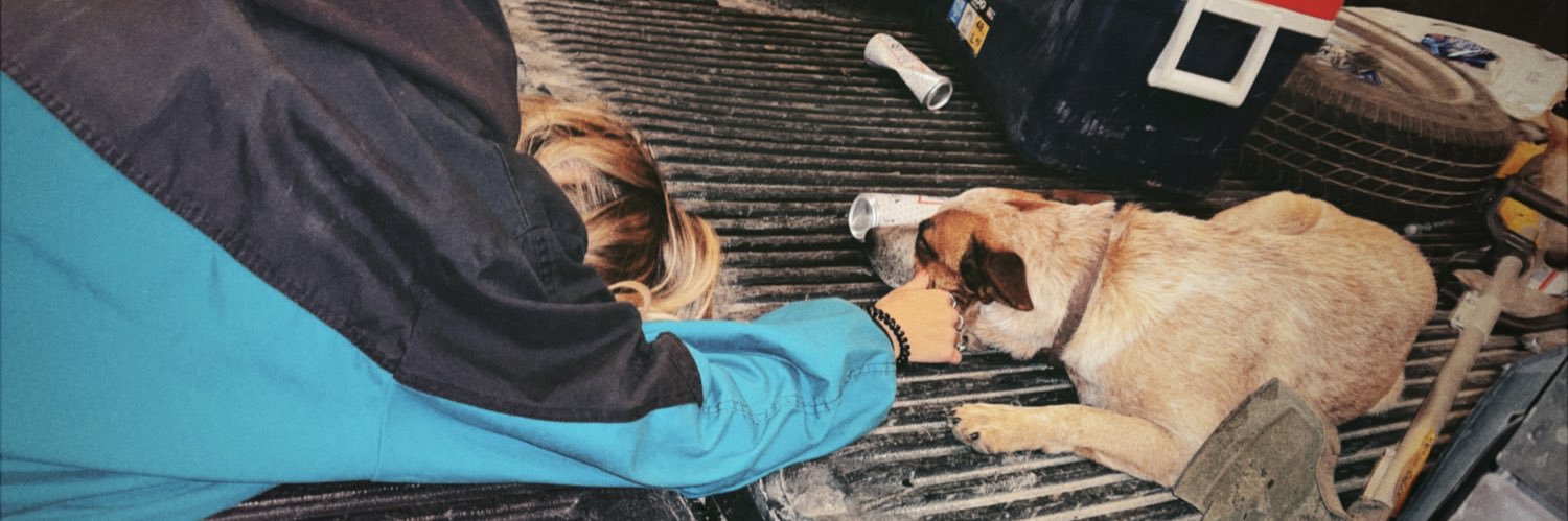 trinity_soutter's profile banner image