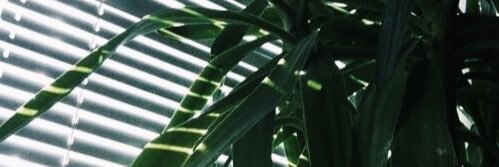 haileyxbiebs_'s profile banner image