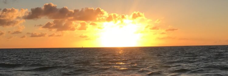 arschmidtke's profile banner image