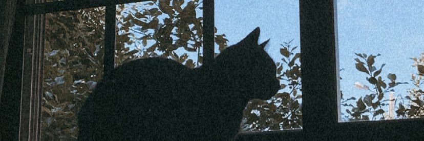a_abnormal's profile banner image