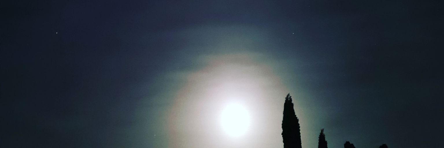 jester1717's profile banner image