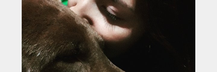 barbiguti12's profile banner image