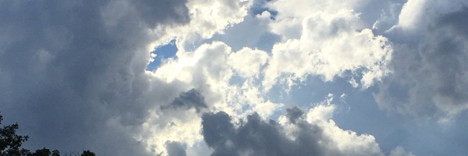 diego_snoopy's profile banner image