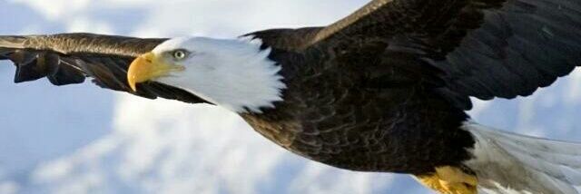 bwaleng's profile banner image