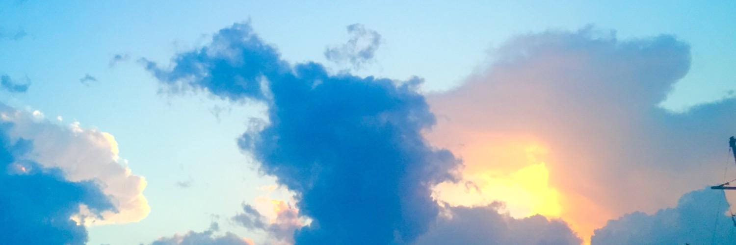TessDonovan's profile banner image