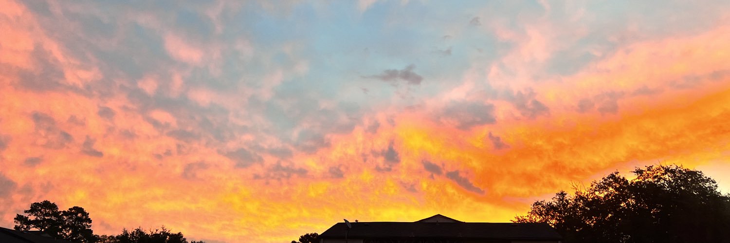 arinichole29's profile banner image
