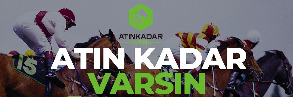 tekinilmaz's profile banner image