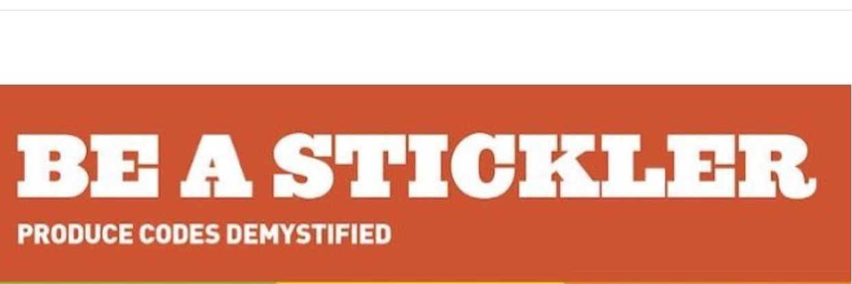 fields_andrew's profile banner image