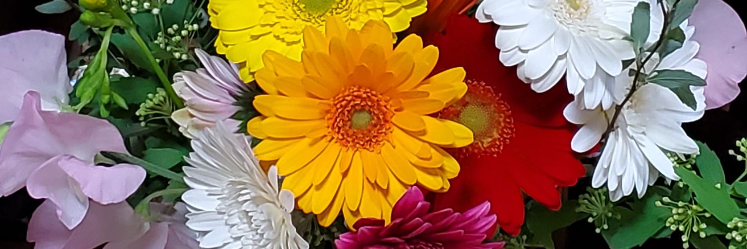 みたこ🐈️takemura🌸 banner