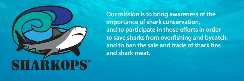 Shark_Ops's profile banner image