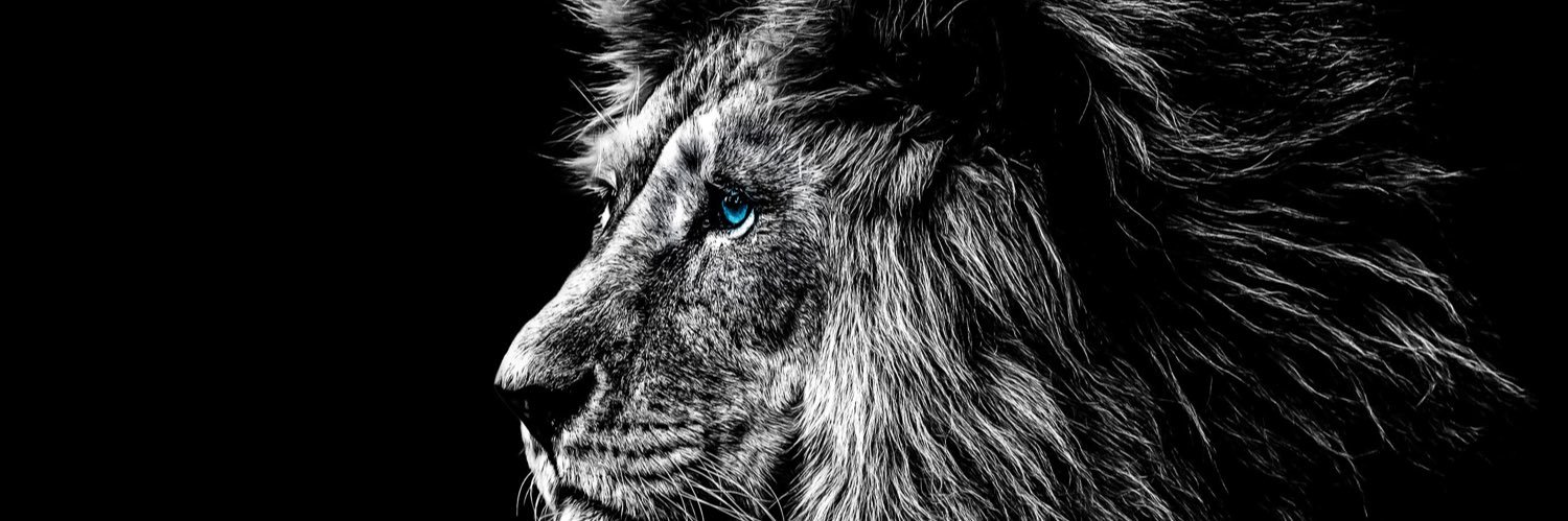 youngdwill10's profile banner image