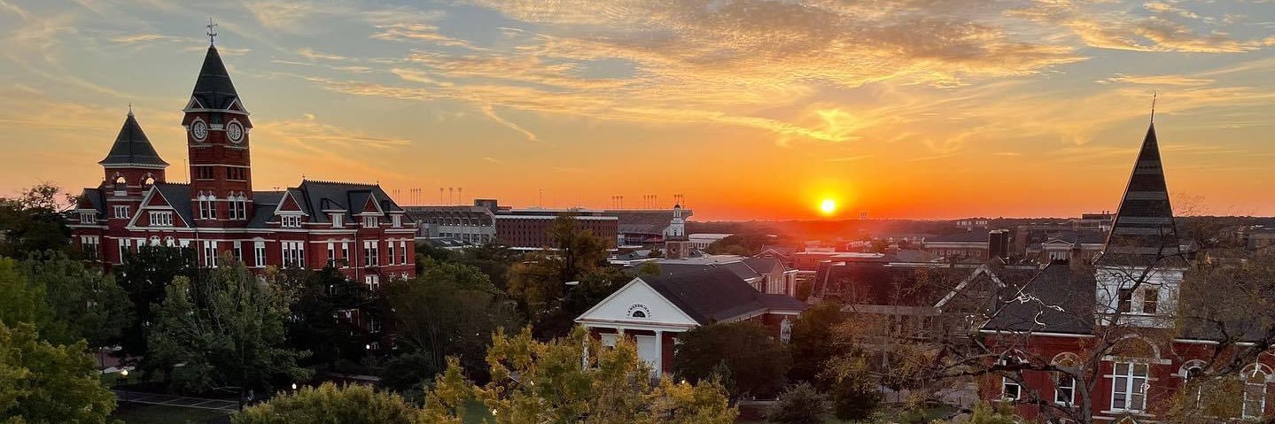 Auburn Disappointment banner