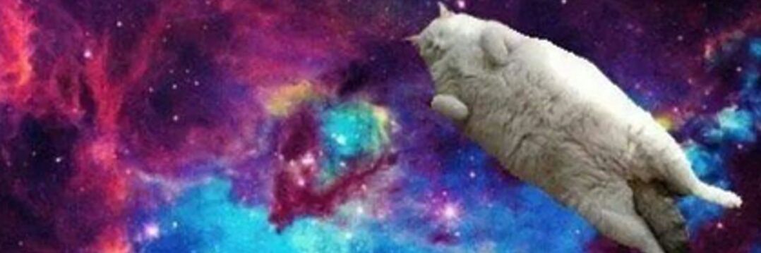Lubisticaa's profile banner image