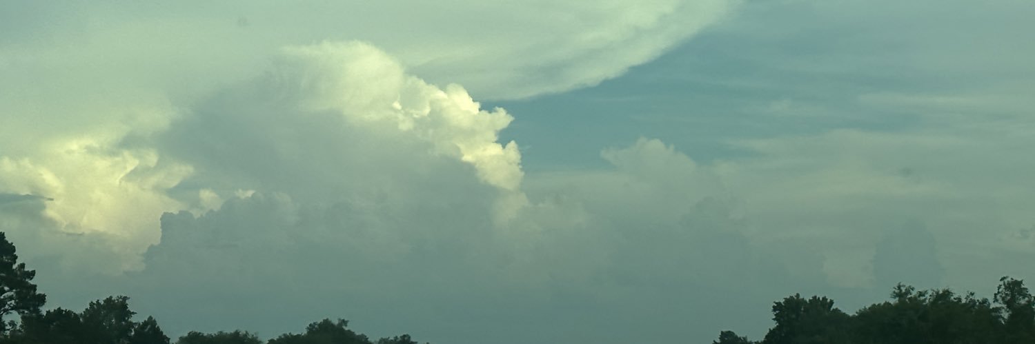 phoenix 🕊️ banner