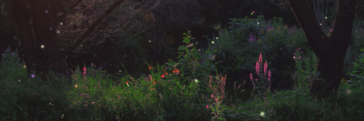 poetbee's profile banner image