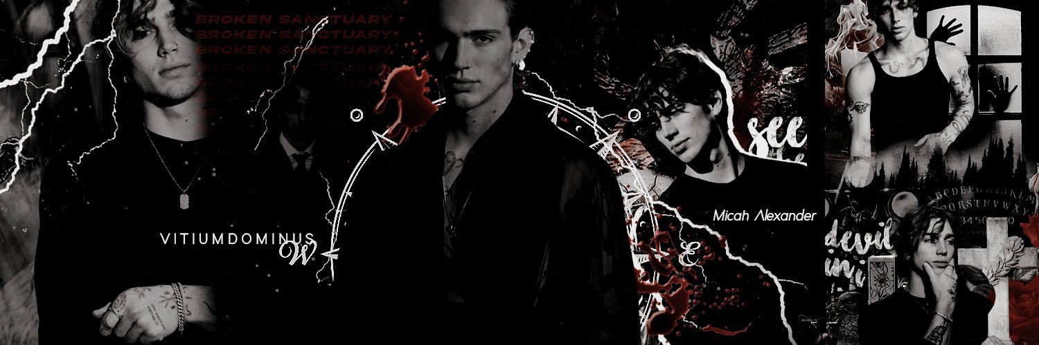 VitiumDominus's profile banner image