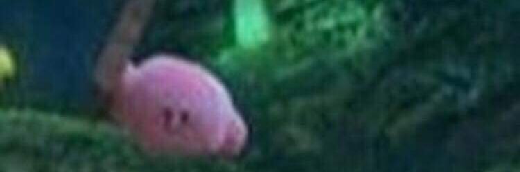 katieemoses's profile banner image