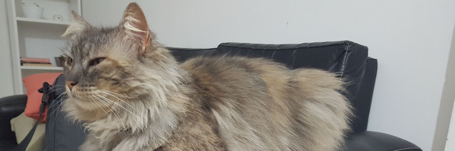 VPenon's profile banner image