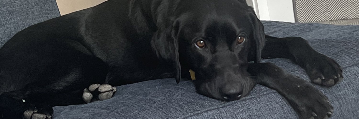 J_schaip's profile banner image