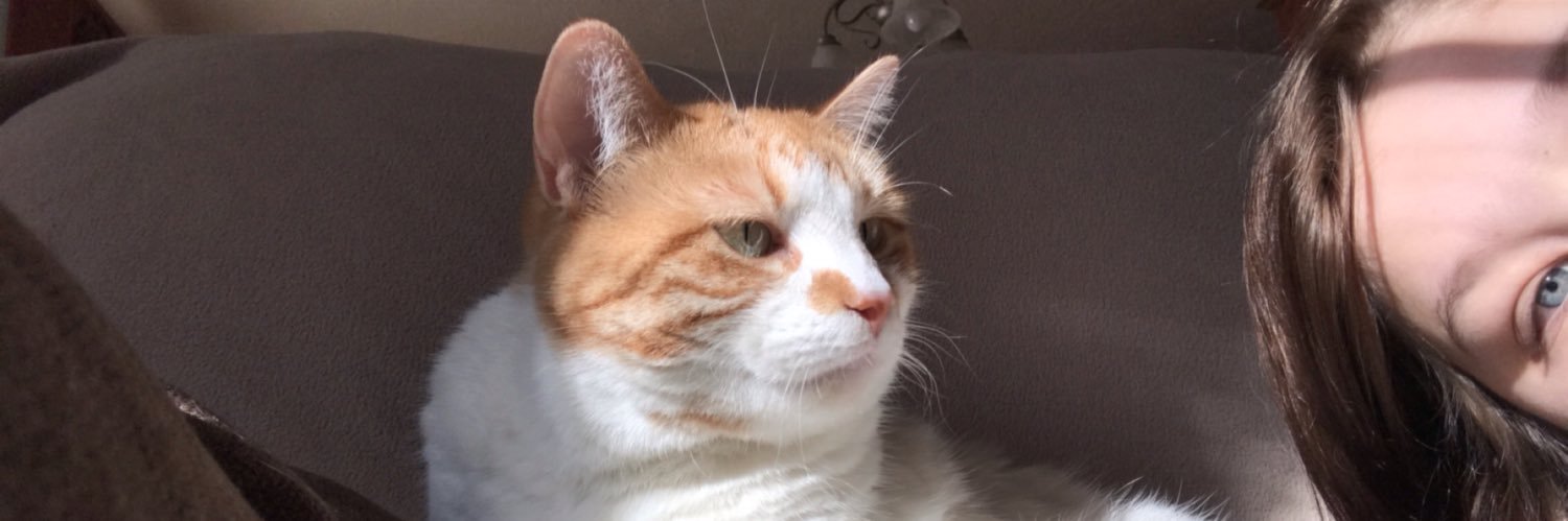 GabbyBauer1's profile banner image