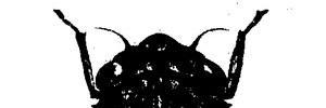 _zemi17's profile banner image