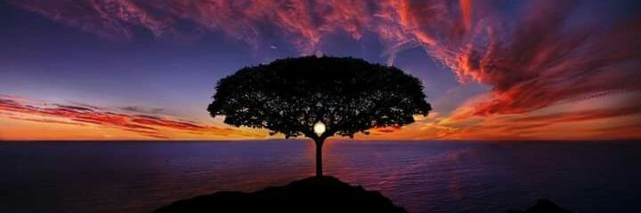 MAFJAY_1's profile banner image