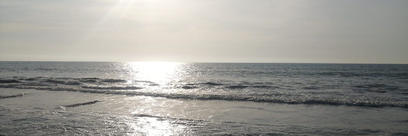 Jacqueline Martinez banner