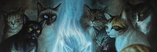 AzeemTCG's profile banner image
