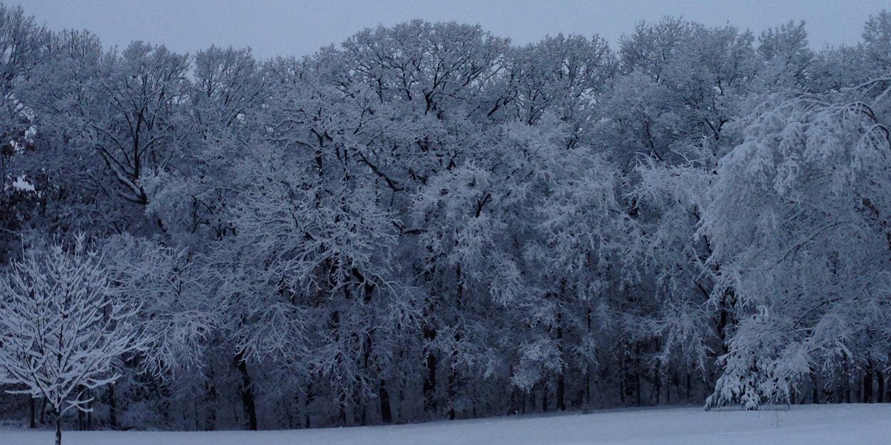 Benjamin Fasano banner