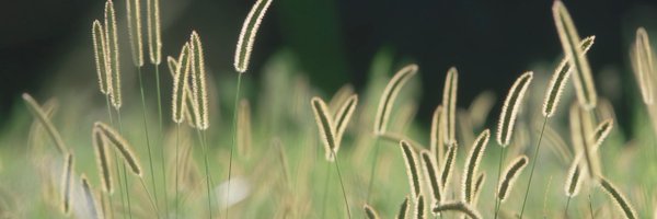 jvinodk Profile Banner