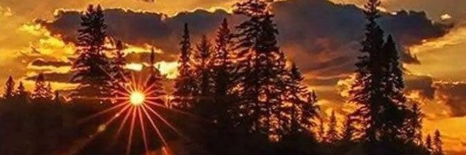 stef8873's profile banner image