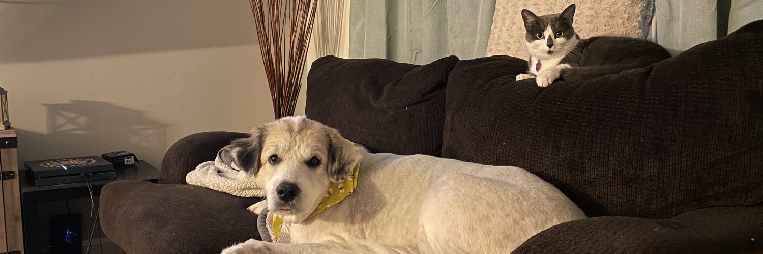 Brandon Malvaso banner