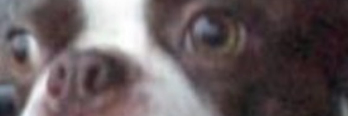 gregPruzichJR's profile banner image