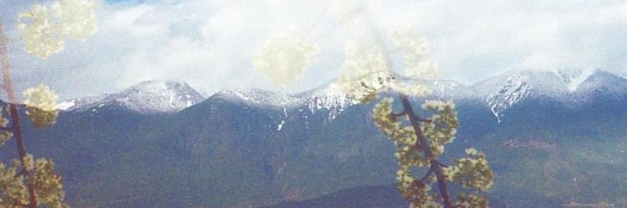devastat0r's profile banner image