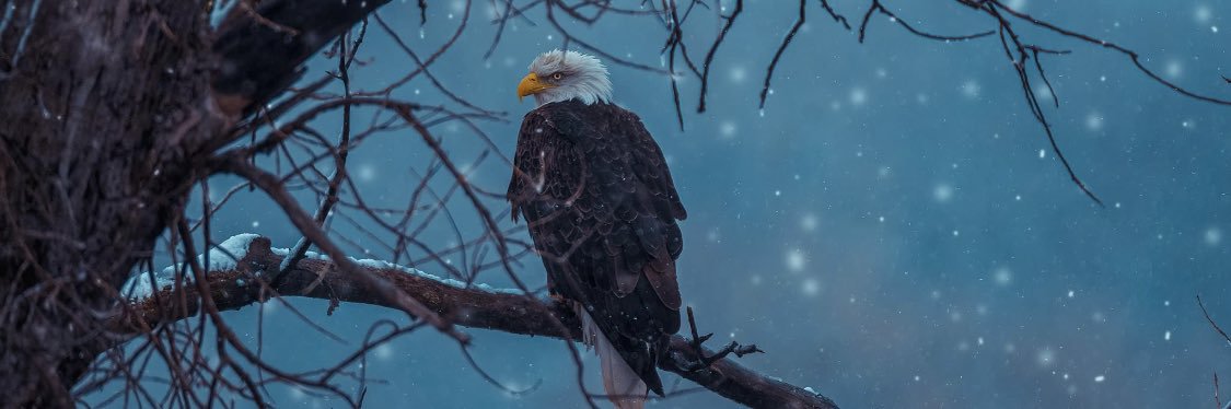 beller_faylor's profile banner image