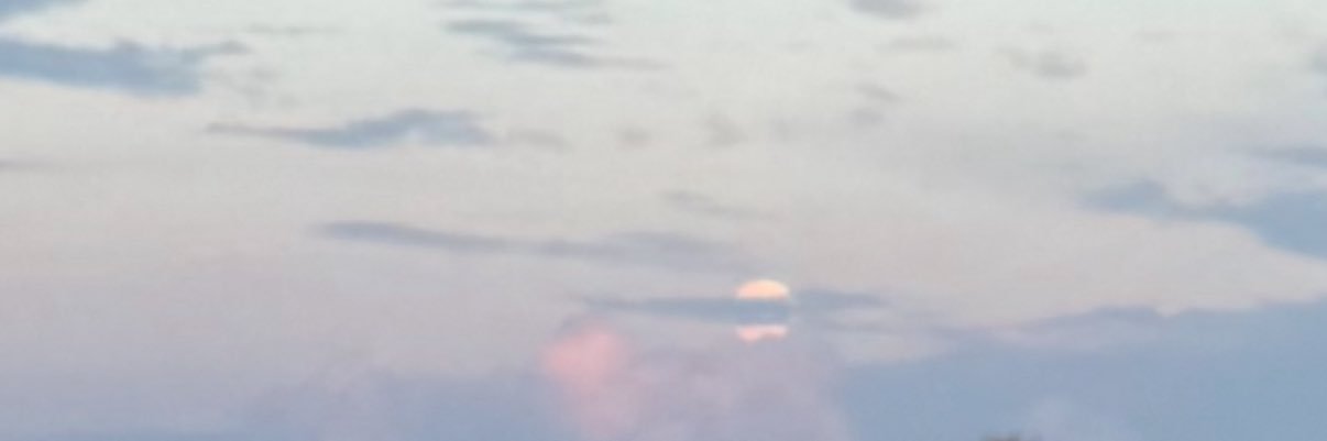 barbara_jasmine's profile banner image